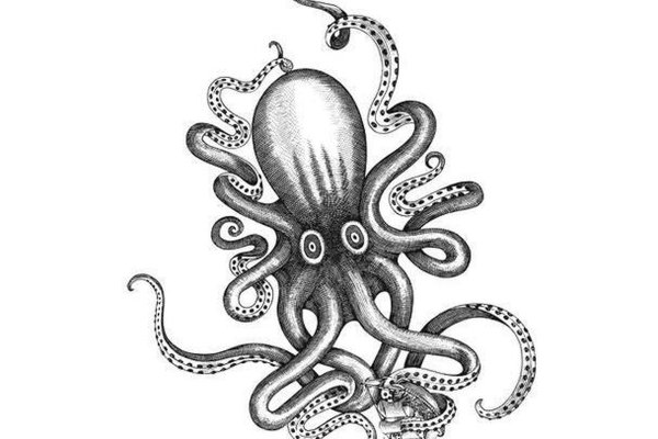 Сайт kraken darknet